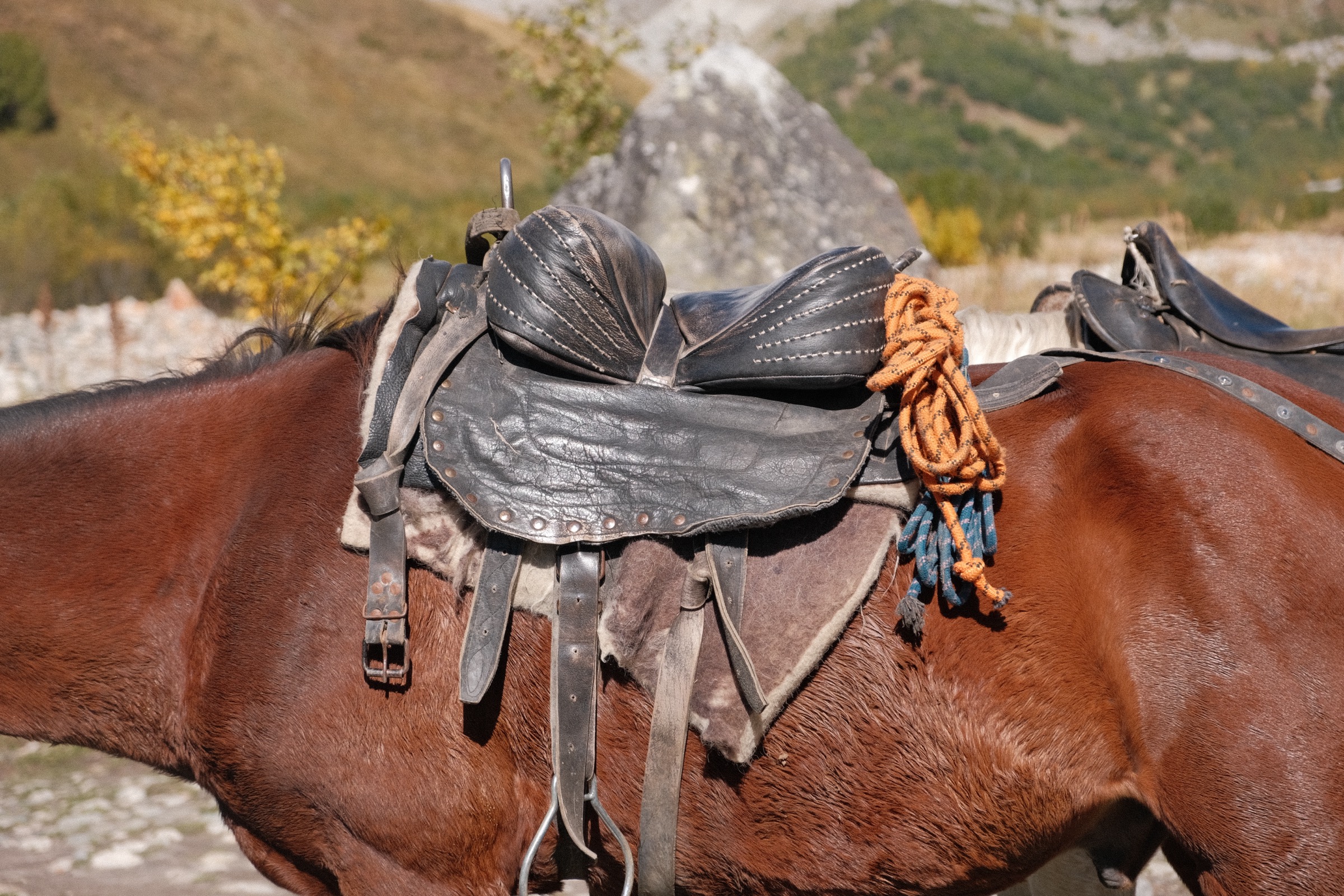 Village and towers in Ushguli