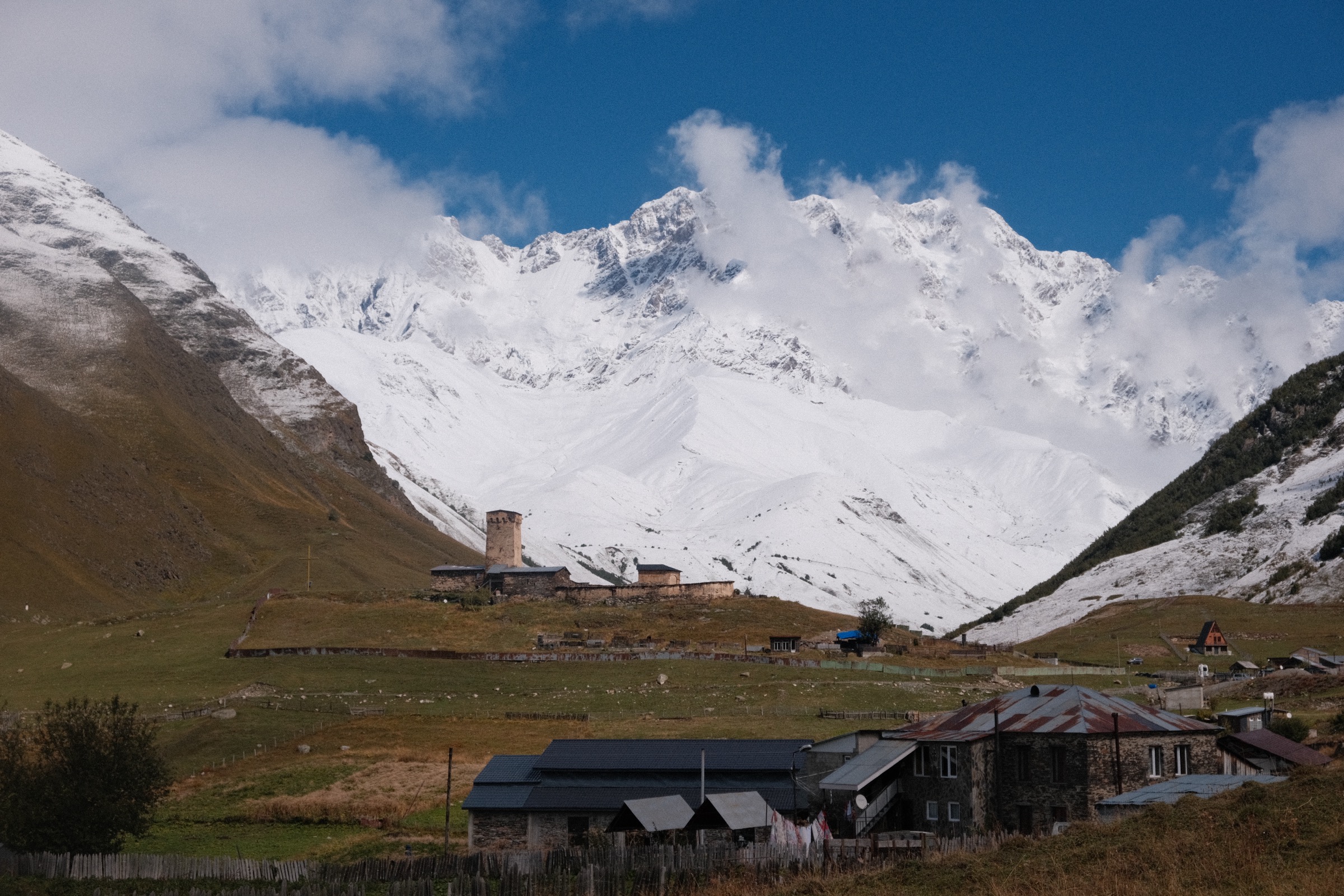 Horse saddled in front of Shkhara