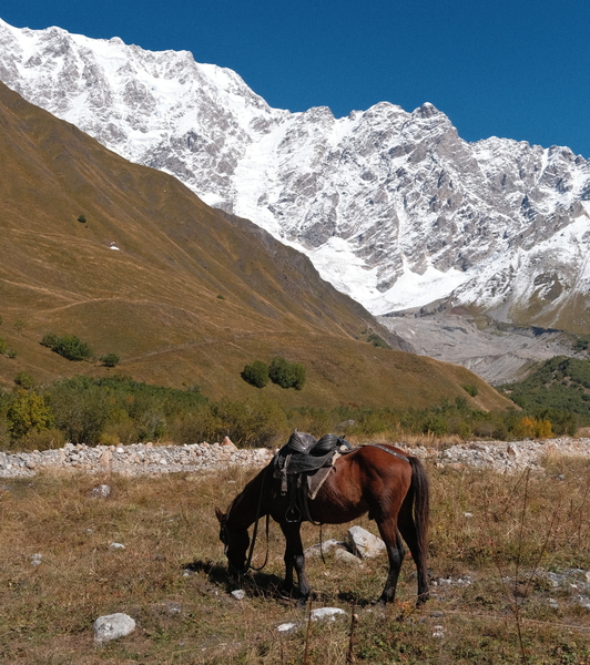 Horse Riding in Ushguli, Svaneti, Georgia.